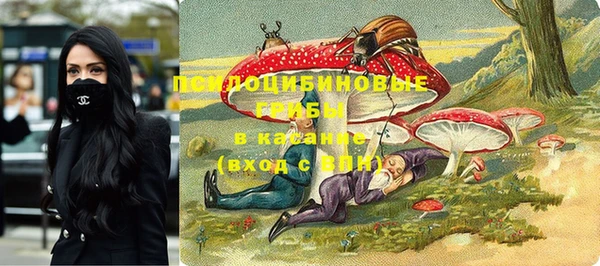гидра Богородск