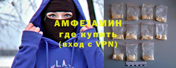 гидра Богородск