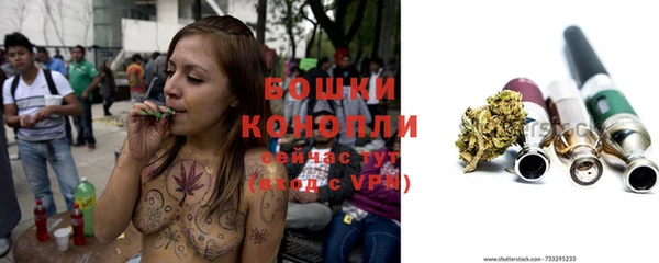 гашиш Богданович