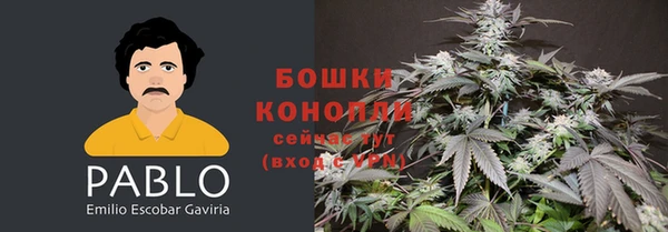 гидра Богородск