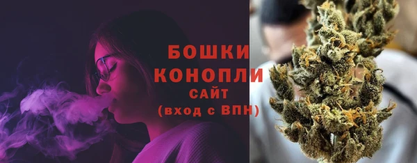 гашиш Богданович