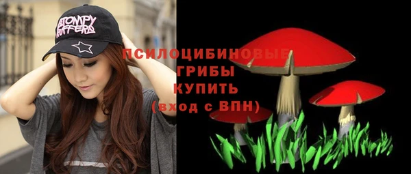 ГАЛЛЮЦИНОГЕННЫЕ ГРИБЫ Богородицк