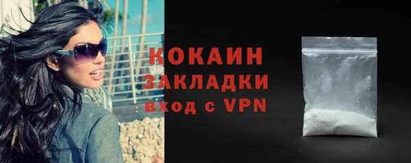 гидра Богородск