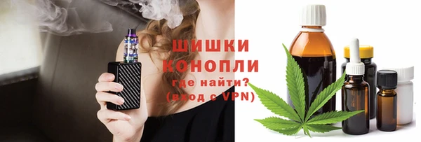 гидра Богородск
