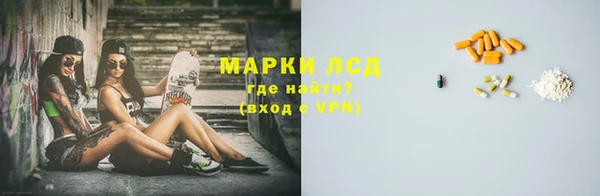 гидра Богородск