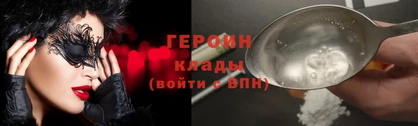 гидра Богородск