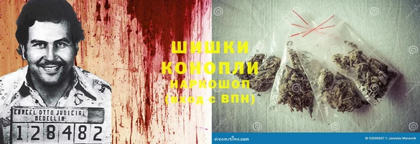 гашиш Богданович