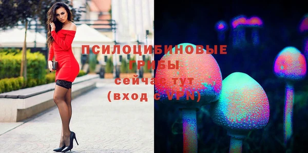 ГАЛЛЮЦИНОГЕННЫЕ ГРИБЫ Богородицк