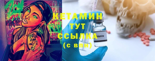 гидра Богородск
