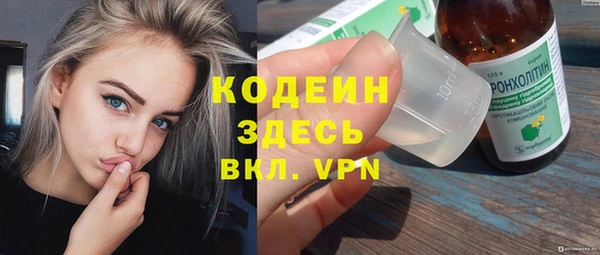 дживик Белокуриха