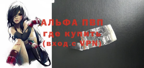 гидра Богородск