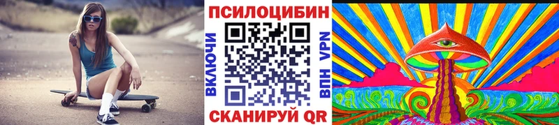 ОМГ ОМГ ТОР  Игра  Псилоцибиновые грибы Psilocybine cubensis 